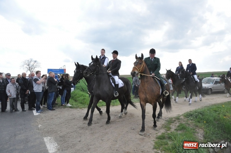 Zdjęcie w galerii na portalu naszraciborz.pl: Rekordowa liczba koni w Bieńkowicach [FOTO i WIDEO] wiadomości z regionu
