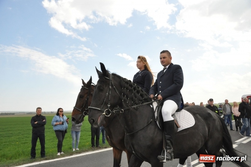 Zdjęcie w galerii na portalu naszraciborz.pl: Rekordowa liczba koni w Bieńkowicach [FOTO i WIDEO] wiadomości z regionu