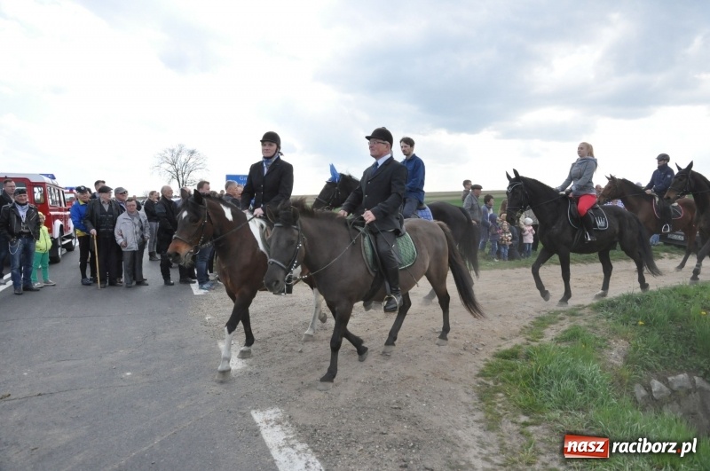 Zdjęcie w galerii na portalu naszraciborz.pl: Rekordowa liczba koni w Bieńkowicach [FOTO i WIDEO] wiadomości z regionu