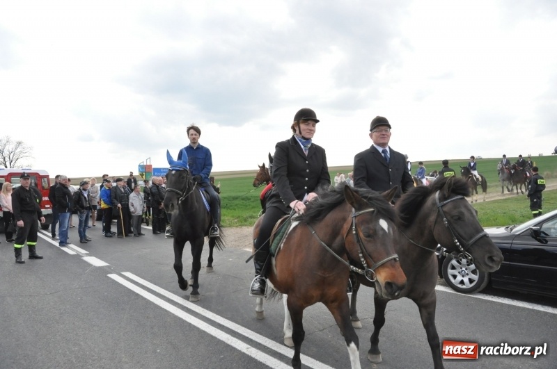 Zdjęcie w galerii na portalu naszraciborz.pl: Rekordowa liczba koni w Bieńkowicach [FOTO i WIDEO] wiadomości z regionu