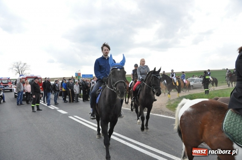 Zdjęcie w galerii na portalu naszraciborz.pl: Rekordowa liczba koni w Bieńkowicach [FOTO i WIDEO] wiadomości z regionu