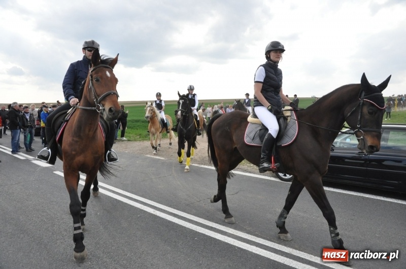 Zdjęcie w galerii na portalu naszraciborz.pl: Rekordowa liczba koni w Bieńkowicach [FOTO i WIDEO] wiadomości z regionu