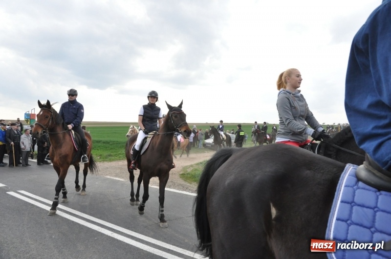 Zdjęcie w galerii na portalu naszraciborz.pl: Rekordowa liczba koni w Bieńkowicach [FOTO i WIDEO] wiadomości z regionu