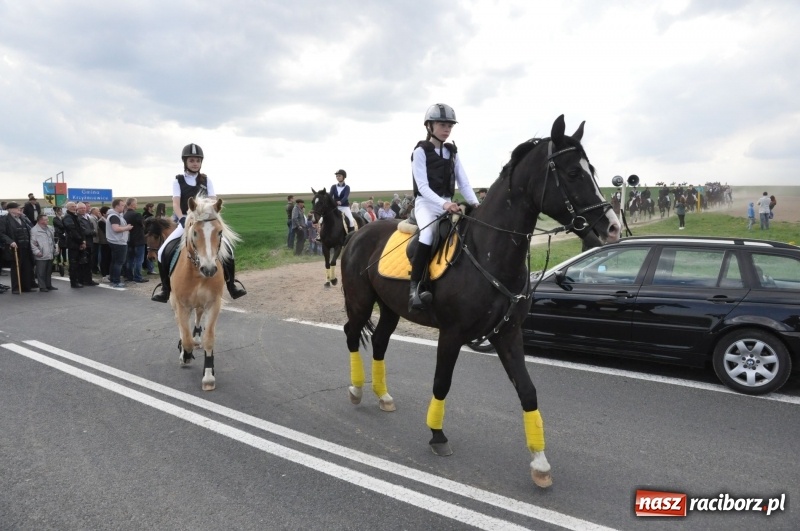 Zdjęcie w galerii na portalu naszraciborz.pl: Rekordowa liczba koni w Bieńkowicach [FOTO i WIDEO] wiadomości z regionu