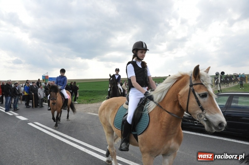 Zdjęcie w galerii na portalu naszraciborz.pl: Rekordowa liczba koni w Bieńkowicach [FOTO i WIDEO] wiadomości z regionu