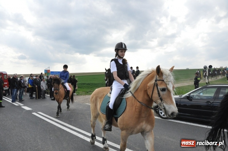 Zdjęcie w galerii na portalu naszraciborz.pl: Rekordowa liczba koni w Bieńkowicach [FOTO i WIDEO] wiadomości z regionu