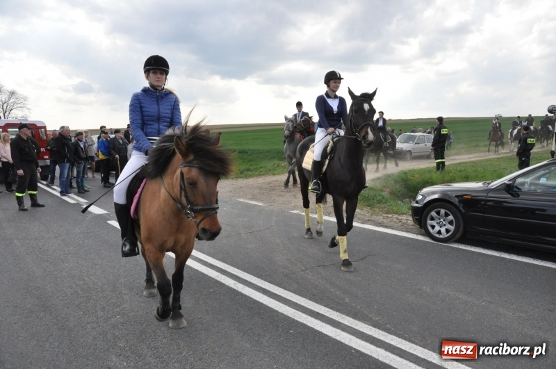 Zdjęcie w galerii na portalu naszraciborz.pl: Rekordowa liczba koni w Bieńkowicach [FOTO i WIDEO] wiadomości z regionu