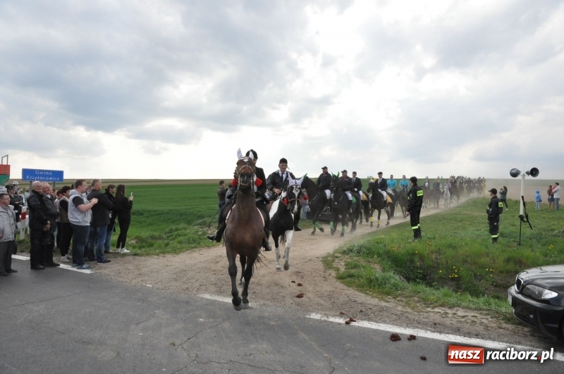 Zdjęcie w galerii na portalu naszraciborz.pl: Rekordowa liczba koni w Bieńkowicach [FOTO i WIDEO] wiadomości z regionu