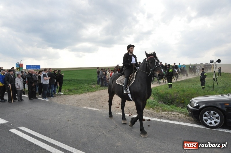 Zdjęcie w galerii na portalu naszraciborz.pl: Rekordowa liczba koni w Bieńkowicach [FOTO i WIDEO] wiadomości z regionu