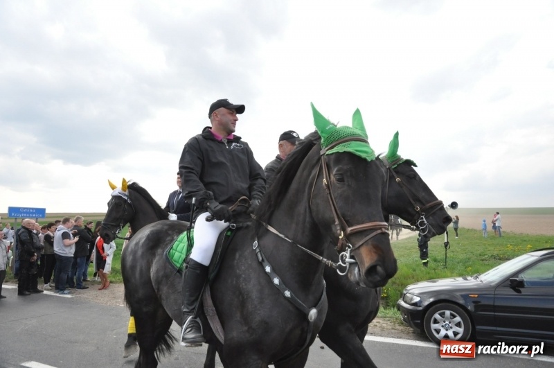 Zdjęcie w galerii na portalu naszraciborz.pl: Rekordowa liczba koni w Bieńkowicach [FOTO i WIDEO] wiadomości z regionu