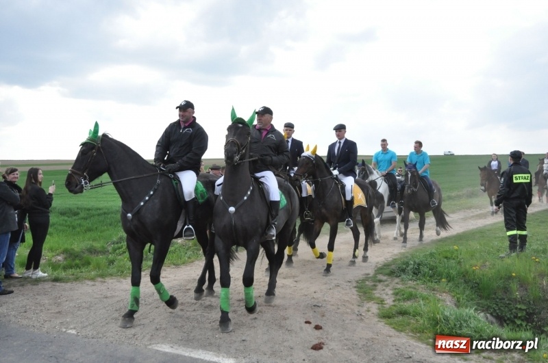 Zdjęcie w galerii na portalu naszraciborz.pl: Rekordowa liczba koni w Bieńkowicach [FOTO i WIDEO] wiadomości z regionu