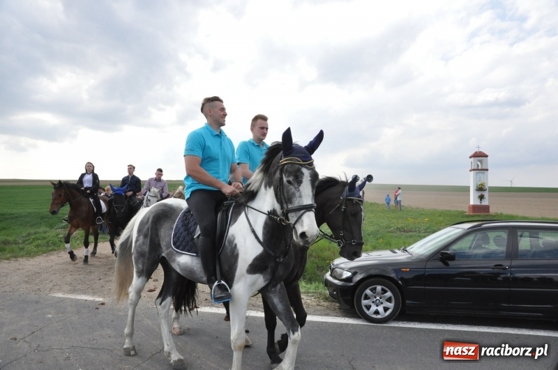 Zdjęcie w galerii na portalu naszraciborz.pl: Rekordowa liczba koni w Bieńkowicach [FOTO i WIDEO] wiadomości z regionu