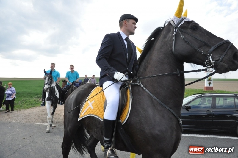 Zdjęcie w galerii na portalu naszraciborz.pl: Rekordowa liczba koni w Bieńkowicach [FOTO i WIDEO] wiadomości z regionu