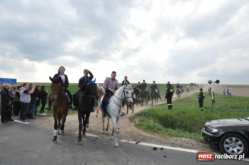 Zdjęcie w galerii na portalu naszraciborz.pl: Rekordowa liczba koni w Bieńkowicach [FOTO i WIDEO] wiadomości z regionu