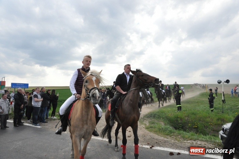 Zdjęcie w galerii na portalu naszraciborz.pl: Rekordowa liczba koni w Bieńkowicach [FOTO i WIDEO] wiadomości z regionu