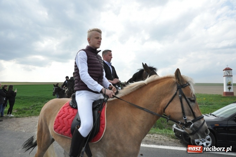 Zdjęcie w galerii na portalu naszraciborz.pl: Rekordowa liczba koni w Bieńkowicach [FOTO i WIDEO] wiadomości z regionu