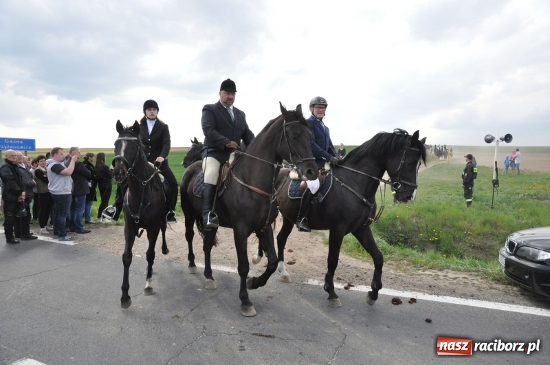 Zdjęcie w galerii na portalu naszraciborz.pl: Rekordowa liczba koni w Bieńkowicach [FOTO i WIDEO] wiadomości z regionu