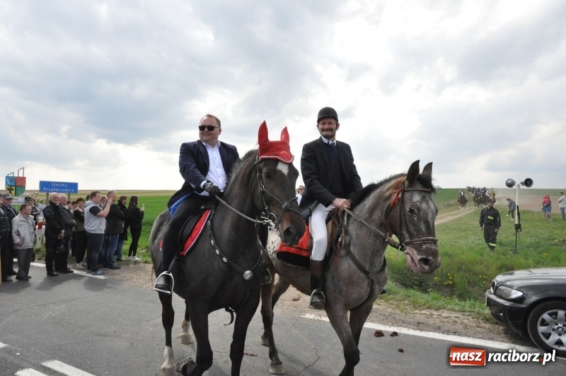 Zdjęcie w galerii na portalu naszraciborz.pl: Rekordowa liczba koni w Bieńkowicach [FOTO i WIDEO] wiadomości z regionu