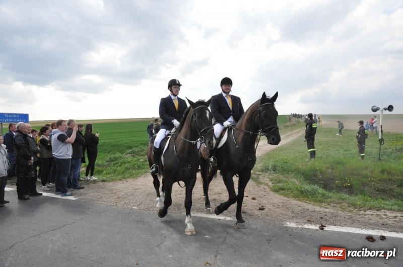 Zdjęcie w galerii na portalu naszraciborz.pl: Rekordowa liczba koni w Bieńkowicach [FOTO i WIDEO] wiadomości z regionu