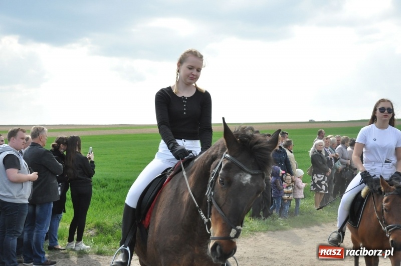 Zdjęcie w galerii na portalu naszraciborz.pl: Rekordowa liczba koni w Bieńkowicach [FOTO i WIDEO] wiadomości z regionu