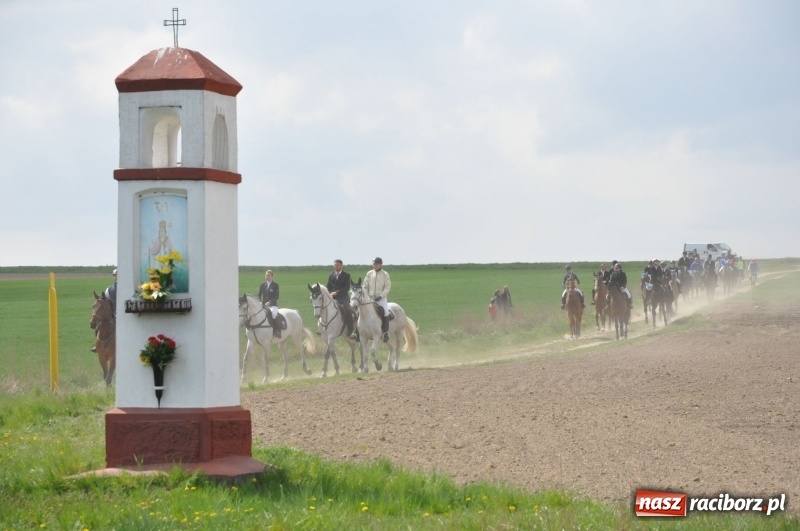 Zdjęcie w galerii na portalu naszraciborz.pl: Rekordowa liczba koni w Bieńkowicach [FOTO i WIDEO] wiadomości z regionu