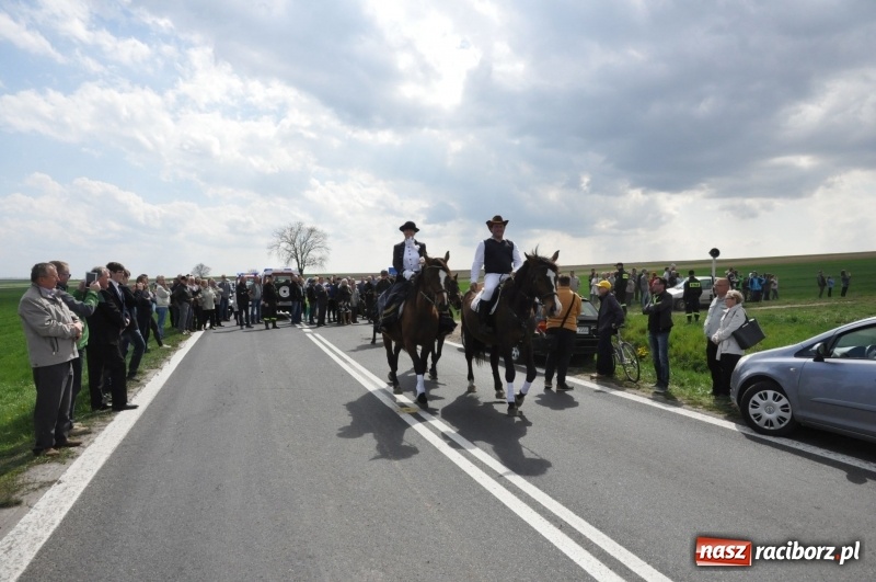 Zdjęcie w galerii na portalu naszraciborz.pl: Rekordowa liczba koni w Bieńkowicach [FOTO i WIDEO] wiadomości z regionu