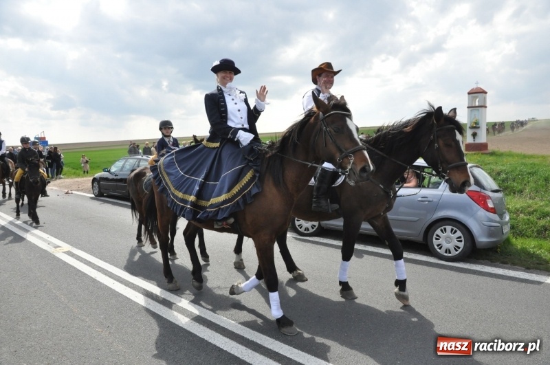 Zdjęcie w galerii na portalu naszraciborz.pl: Rekordowa liczba koni w Bieńkowicach [FOTO i WIDEO] wiadomości z regionu