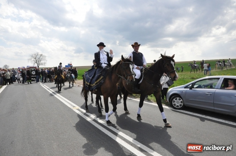 Zdjęcie w galerii na portalu naszraciborz.pl: Rekordowa liczba koni w Bieńkowicach [FOTO i WIDEO] wiadomości z regionu
