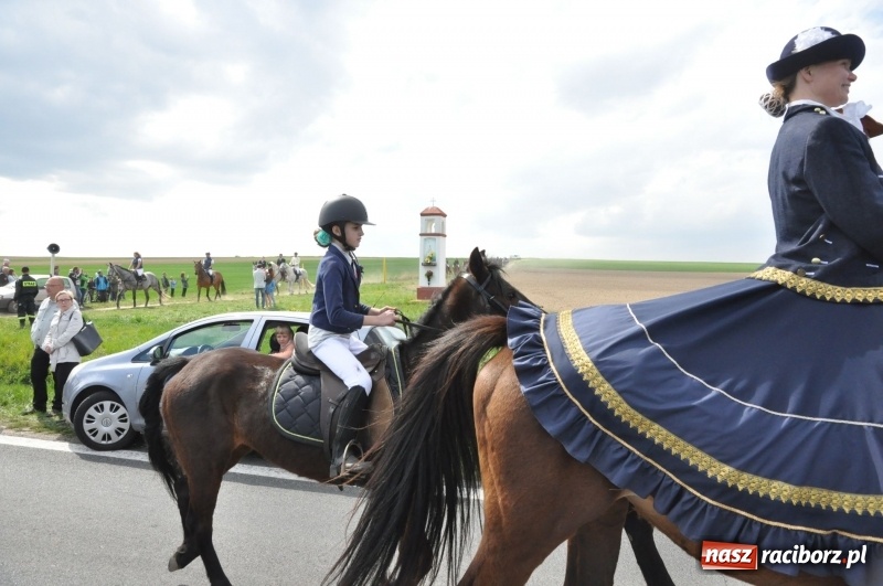 Zdjęcie w galerii na portalu naszraciborz.pl: Rekordowa liczba koni w Bieńkowicach [FOTO i WIDEO] wiadomości z regionu