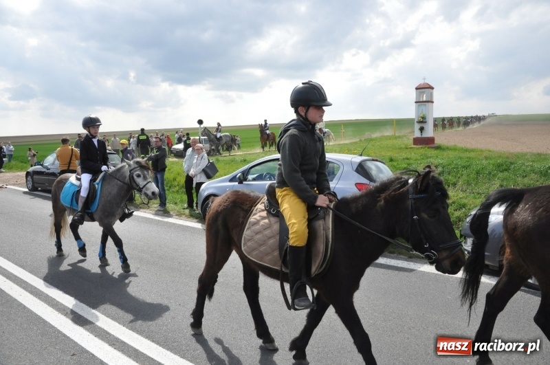 Zdjęcie w galerii na portalu naszraciborz.pl: Rekordowa liczba koni w Bieńkowicach [FOTO i WIDEO] wiadomości z regionu