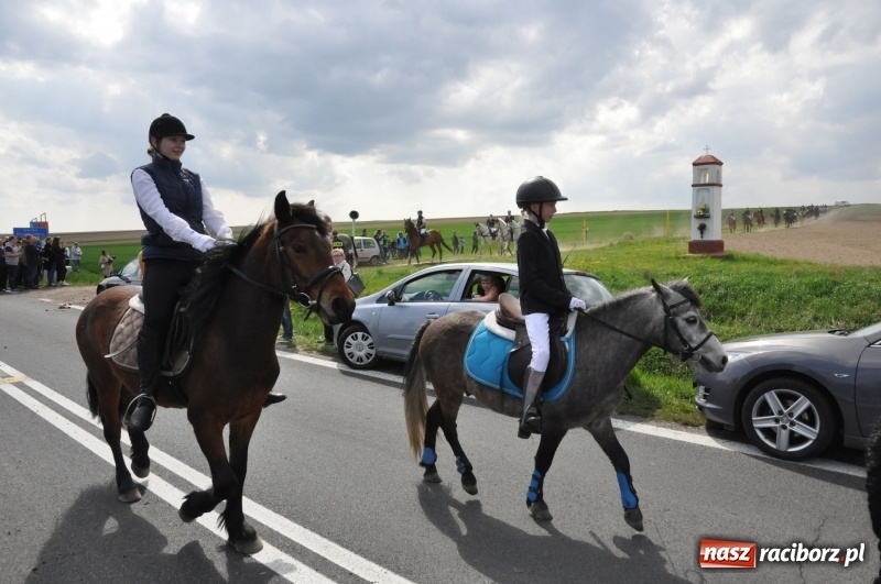 Zdjęcie w galerii na portalu naszraciborz.pl: Rekordowa liczba koni w Bieńkowicach [FOTO i WIDEO] wiadomości z regionu