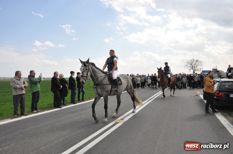 Zdjęcie w galerii na portalu naszraciborz.pl: Rekordowa liczba koni w Bieńkowicach [FOTO i WIDEO] wiadomości z regionu