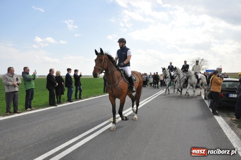 Zdjęcie w galerii na portalu naszraciborz.pl: Rekordowa liczba koni w Bieńkowicach [FOTO i WIDEO] wiadomości z regionu