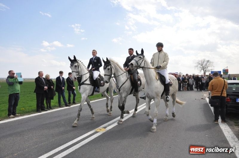 Zdjęcie w galerii na portalu naszraciborz.pl: Rekordowa liczba koni w Bieńkowicach [FOTO i WIDEO] wiadomości z regionu