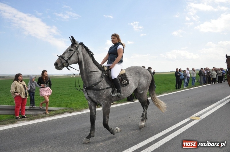 Zdjęcie w galerii na portalu naszraciborz.pl: Rekordowa liczba koni w Bieńkowicach [FOTO i WIDEO] wiadomości z regionu