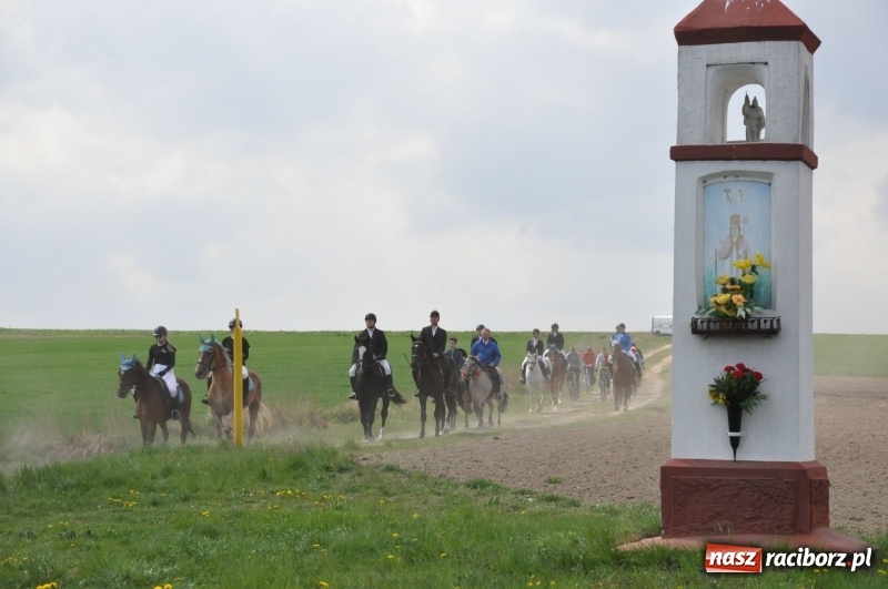 Zdjęcie w galerii na portalu naszraciborz.pl: Rekordowa liczba koni w Bieńkowicach [FOTO i WIDEO] wiadomości z regionu