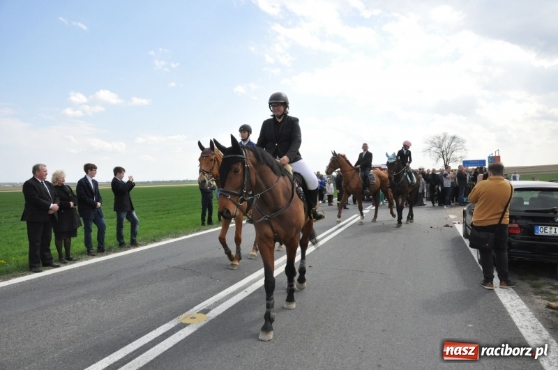 Zdjęcie w galerii na portalu naszraciborz.pl: Rekordowa liczba koni w Bieńkowicach [FOTO i WIDEO] wiadomości z regionu