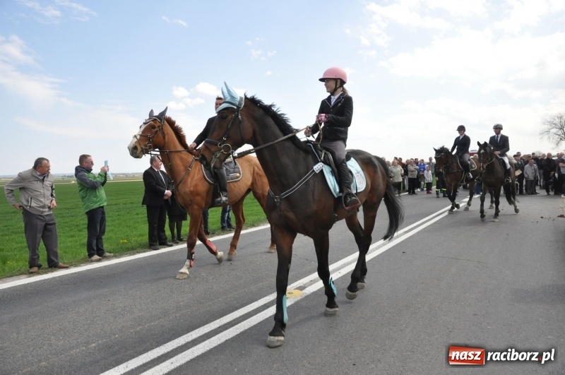 Zdjęcie w galerii na portalu naszraciborz.pl: Rekordowa liczba koni w Bieńkowicach [FOTO i WIDEO] wiadomości z regionu