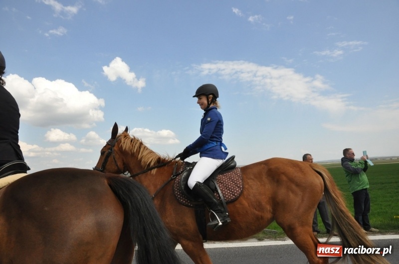 Zdjęcie w galerii na portalu naszraciborz.pl: Rekordowa liczba koni w Bieńkowicach [FOTO i WIDEO] wiadomości z regionu