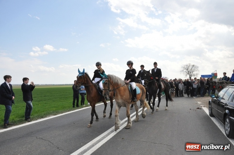 Zdjęcie w galerii na portalu naszraciborz.pl: Rekordowa liczba koni w Bieńkowicach [FOTO i WIDEO] wiadomości z regionu