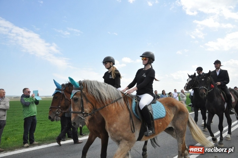 Zdjęcie w galerii na portalu naszraciborz.pl: Rekordowa liczba koni w Bieńkowicach [FOTO i WIDEO] wiadomości z regionu
