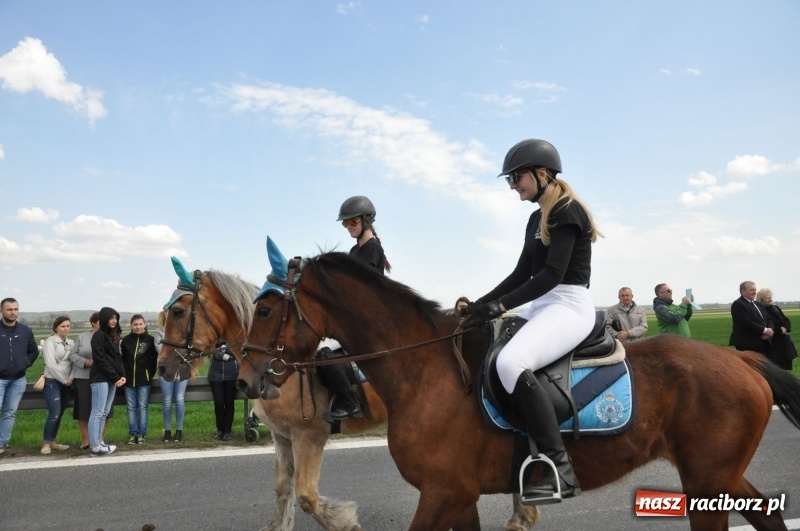 Zdjęcie w galerii na portalu naszraciborz.pl: Rekordowa liczba koni w Bieńkowicach [FOTO i WIDEO] wiadomości z regionu