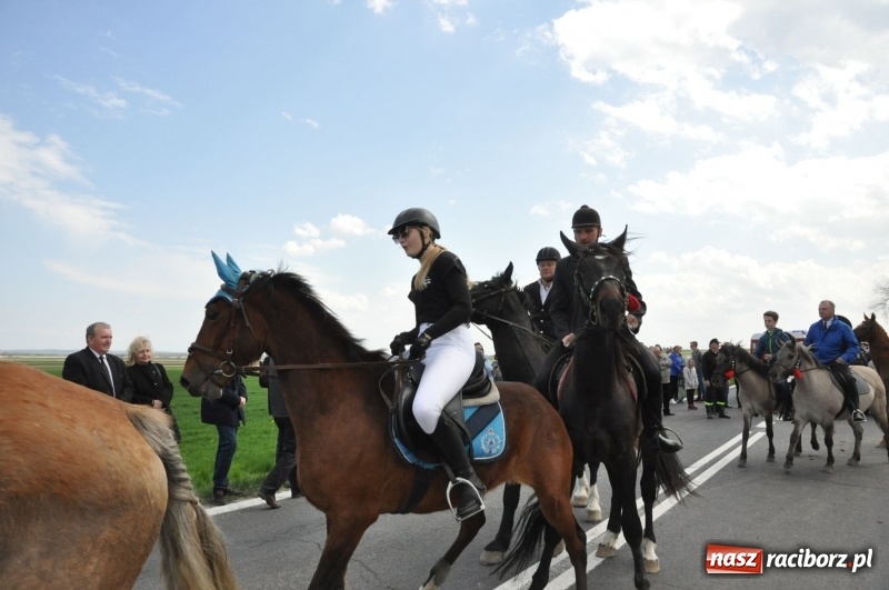 Zdjęcie w galerii na portalu naszraciborz.pl: Rekordowa liczba koni w Bieńkowicach [FOTO i WIDEO] wiadomości z regionu