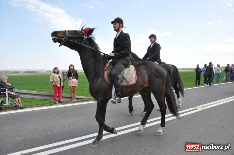 Zdjęcie w galerii na portalu naszraciborz.pl: Rekordowa liczba koni w Bieńkowicach [FOTO i WIDEO] wiadomości z regionu
