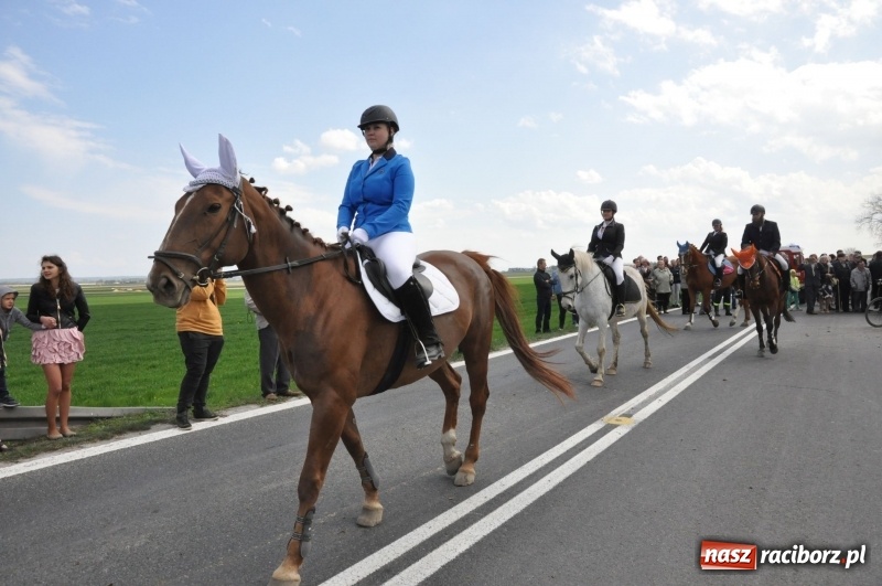 Zdjęcie w galerii na portalu naszraciborz.pl: Rekordowa liczba koni w Bieńkowicach [FOTO i WIDEO] wiadomości z regionu