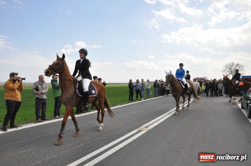 Zdjęcie w galerii na portalu naszraciborz.pl: Rekordowa liczba koni w Bieńkowicach [FOTO i WIDEO] wiadomości z regionu