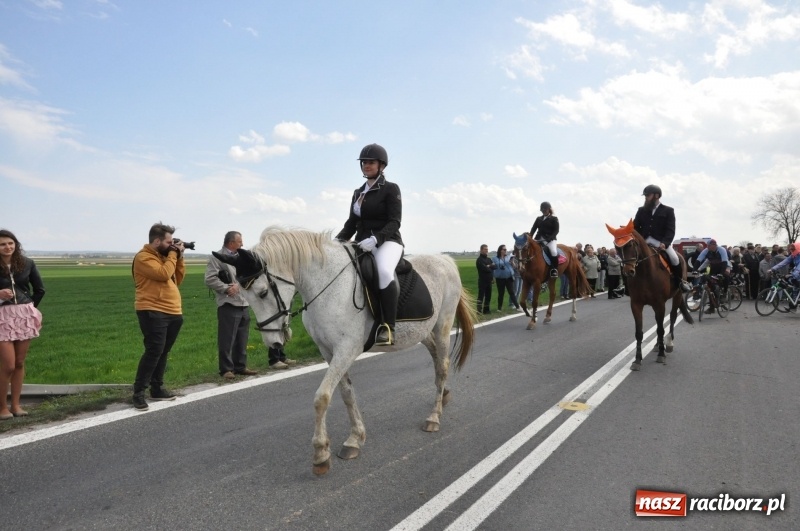 Zdjęcie w galerii na portalu naszraciborz.pl: Rekordowa liczba koni w Bieńkowicach [FOTO i WIDEO] wiadomości z regionu