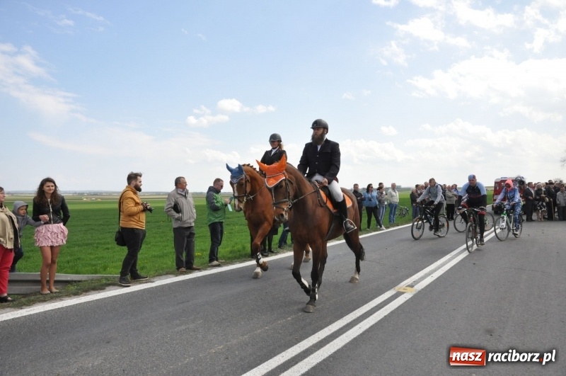 Zdjęcie w galerii na portalu naszraciborz.pl: Rekordowa liczba koni w Bieńkowicach [FOTO i WIDEO] wiadomości z regionu