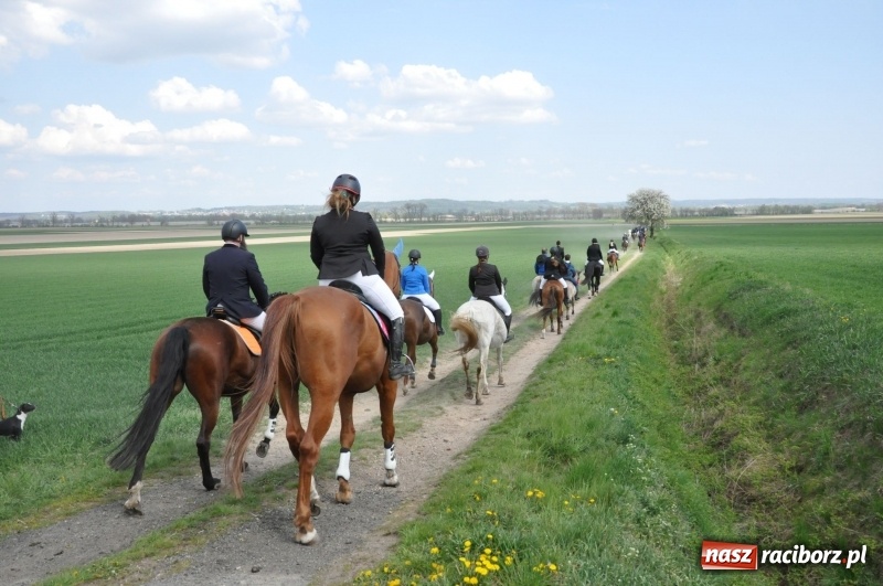 Zdjęcie w galerii na portalu naszraciborz.pl: Rekordowa liczba koni w Bieńkowicach [FOTO i WIDEO] wiadomości z regionu
