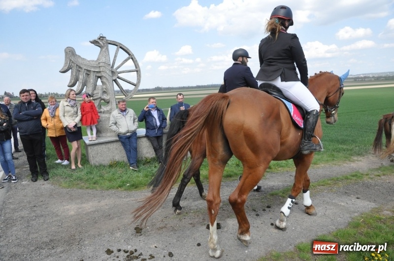 Zdjęcie w galerii na portalu naszraciborz.pl: Rekordowa liczba koni w Bieńkowicach [FOTO i WIDEO] wiadomości z regionu